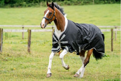 Amigo 1200D Turnout 100g - Black/Titanium Grey/Silver