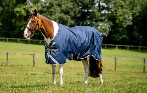 Amigo 1200D Turnout 50g - Navy/Titanium Grey/Silver