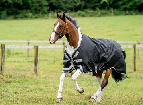 Amigo 1200D Turnout 250g - Black/Titanium Grey/Silver