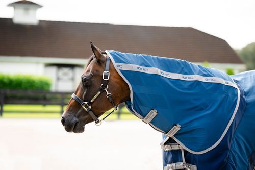 Horseware Ionic Therapy Quarter Horse Mesh Cooler Hood - Imperial Blue/Silver/Navy