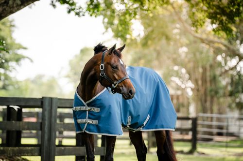 Horseware Ionic Therapy Quarter Horse Turnout 100g - Imperial Blue/Silver/Navy