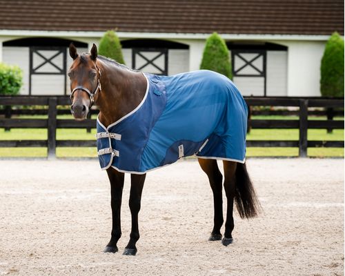 Horseware Ionic Therapy Quarter Horse Mesh Cooler - Imperial Blue/Silver/Navy