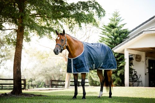 Horseware Ionic Therapy Quarter Horse Stable 50g - Imperial Blue/Silver/Navy