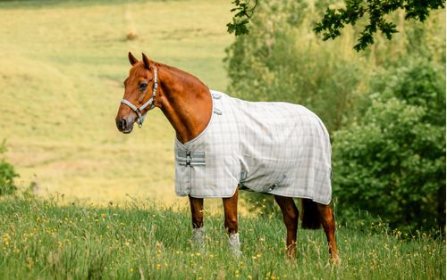 Horseware Newmarket Fly Sheet - Witney Charcoal