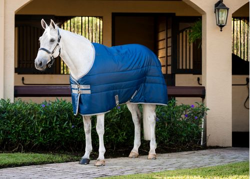 Amigo Ripstop Insulator Pony Stable 100g - Navy/Titanium Grey