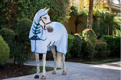 Amigo Ripstop Hoody - Azure Blue/Navy/Electric Blue