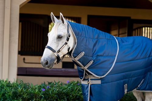 Amigo Ripstop Insulator Stable Hood 200g - Navy/Titanium Grey