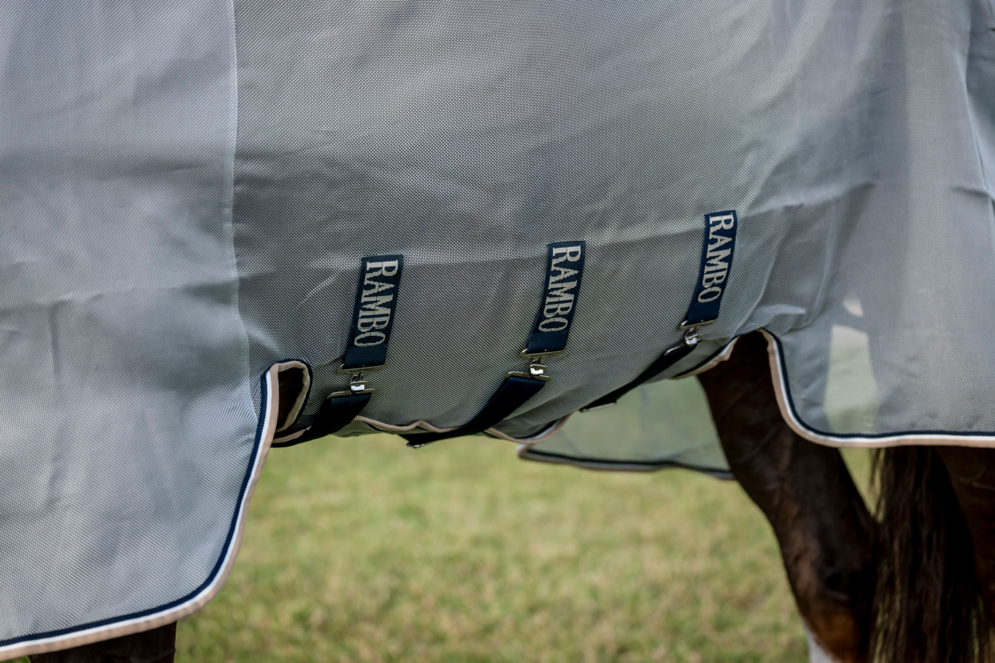 Rambo Protector - Silver/Navy/White/Beige - Rambo-AFANMQ-IBWT - Tack Of ...
