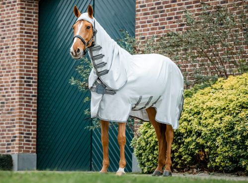 Amigo Ripstop Hoody - Silver/Titanium Grey/Silver