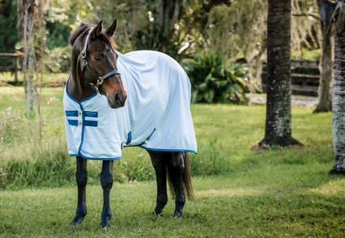 Amigo Bug Rug - Azure Blue/Navy/Electric Blue