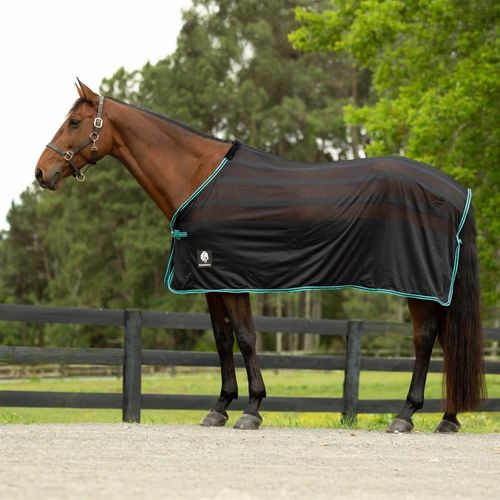 Equinavia Sefyr Scrim Sheet - Black/Turquoise