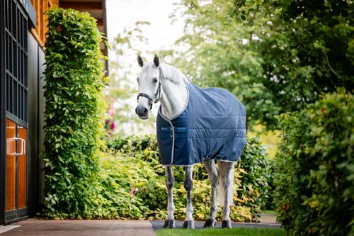 Horseware Ionic Therapy Stable 50g - Imperial Blue/Silver/Navy