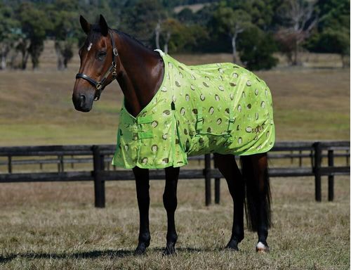 Saxon Mesh w/Gusset Belly Wrap Standard Neck - Hedgehogs & Flowers Print