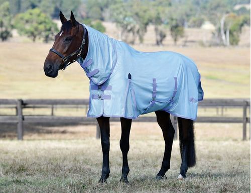 Saxon Mesh w/Gusset Belly Wrap Combo Neck - Stone Blue/Lavender