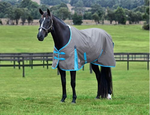 Weatherbeeta Comfitec Classic Standard Neck Lite - Grey/Bright Blue/White