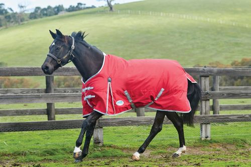 Weatherbeeta Comfitec Classic Standard Neck Lite - Red/Silver/Navy