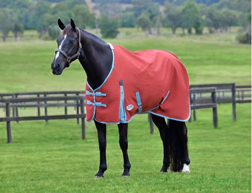 Weatherbeeta Comfitec Essential Standard Neck Lite - Red/Blue/Beige