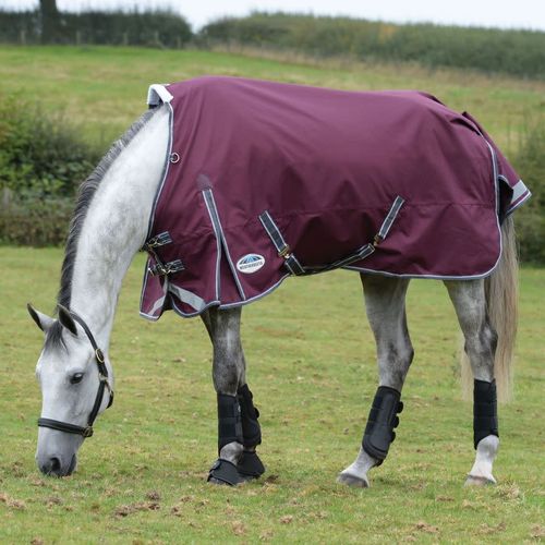 Weatherbeeta Comfitec Plus Dynamic II Standard Neck Lite - Maroon/Grey/White