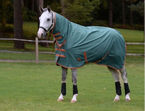 Weatherbeeta Comfitec Tyro Combo Neck Lite Plus - Green/Burnt Orange/White