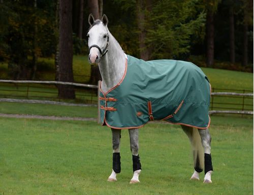 Weatherbeeta Comfitec Tyro Standard Neck Lite Plus - Green/Burnt Orange/White