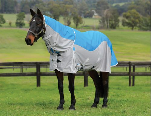 Weatherbeeta Comfitec Dual Shield Detach-a-Neck - Blue/Grey