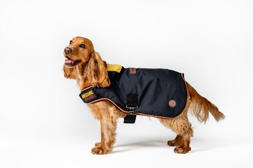 Horseware Newmarket Dog Coat - Witney Gold