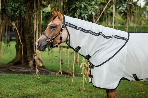 Amigo Bug Rug Stock Horse Hood - Silver/Black