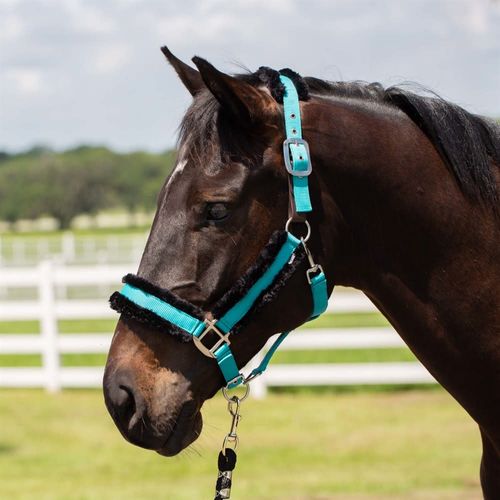 Equinavia Valkyrie Ultra Fleece Breakaway Halter - Turquoise/Black