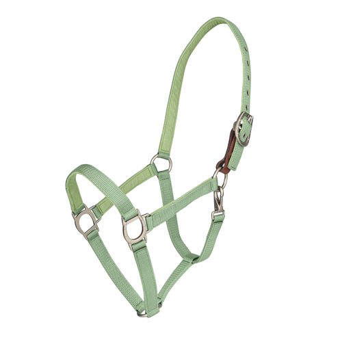 Ovation Lucky Breakaway Halter - Cactus