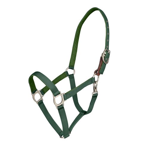 Ovation Lucky Breakaway Halter - Hunter Green