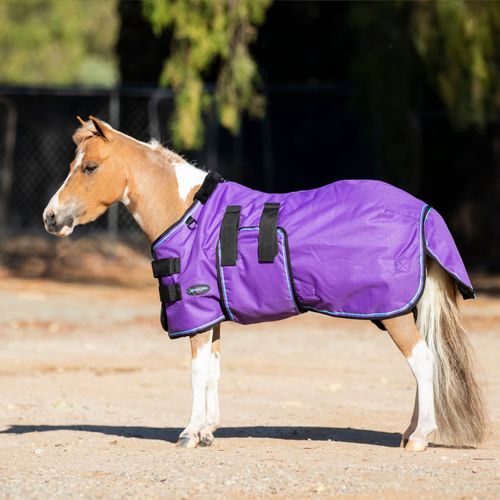 Kensington Signature Mini Light Weight Turnout - Purple