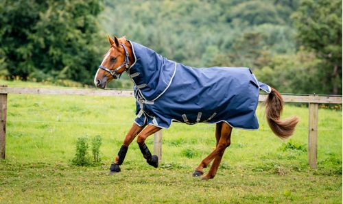 Amigo 1200D Plus Turnout 50g - Navy/Titanium Grey/Silver