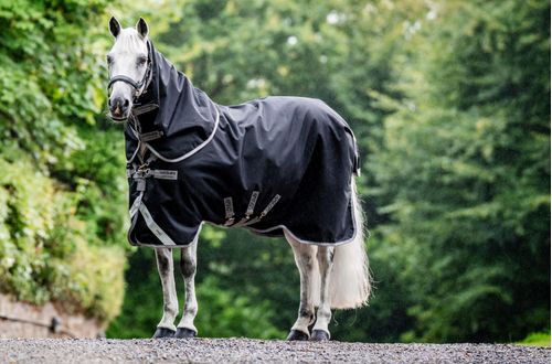 Amigo 1200D Plus Turnout 50g - Black/Titanium Grey/Silver