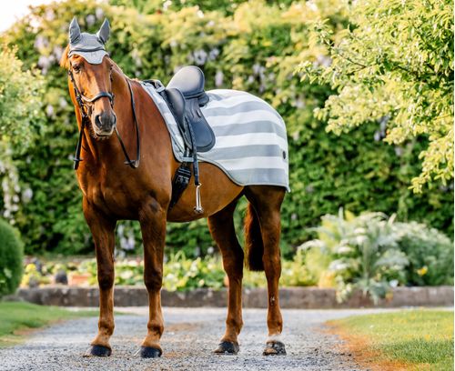 Horseware Newmarket Exercise Sheet - Witney Charcoal
