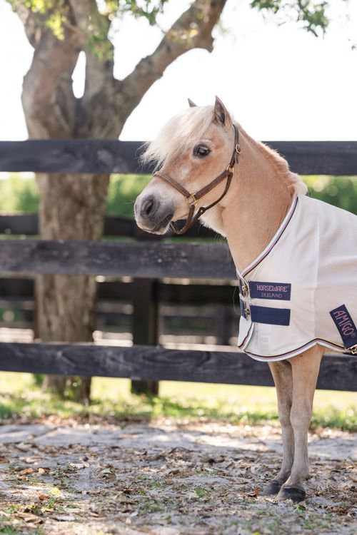 Amigo Petite Bug Rug - Silver/Lime/Navy/Pink/Blue