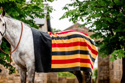 Horseware Newmarket Fleece - Witney Gold