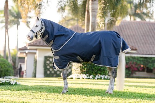 Amigo 1200D Plus Pony Turnout 0g - Navy/Titanium Grey/Silver
