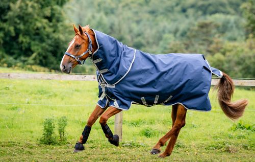 Amigo 1200D Plus Turnout 100g - Navy/Titanium Grey/Silver