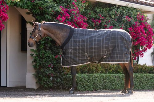 Rhino Pony Stable 100g - Black/Grey/White/Gray