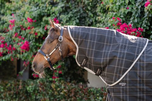 Rhino Stable Hood 200g - Black/Grey/White/Gray