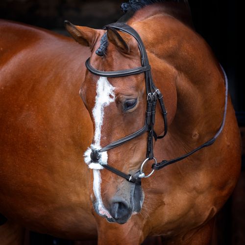 OPENBOX: Shires Velociti Rapida Figure 8 Bridle - Cob - Black