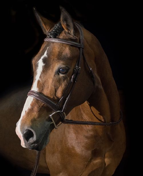 OPENBOX: Pessoa PRO Fancy Stitched Wide Noseband Bridle - Cob - Dark Brown