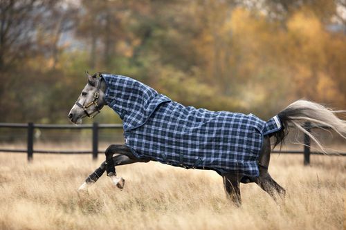 BARGAIN BARN: Rhino Plus Heavy VariLayer Turnout - 78 - Navy Check/Indigo