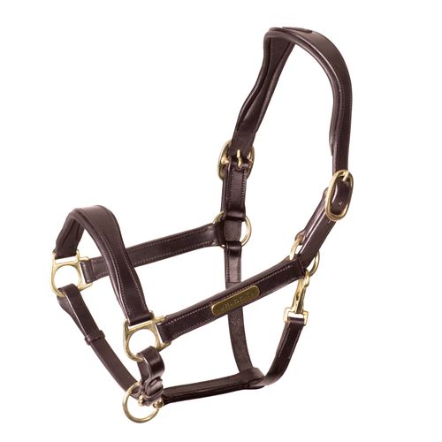 BARGAIN BARN: Shires Velociti Rapida Cushioned Leather Headcollar - Pony - Havana
