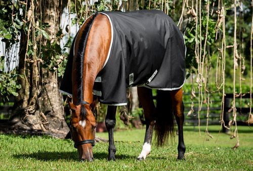 Amigo Ripstop 900D Stock Horse Turnout 0g - Black/Silver