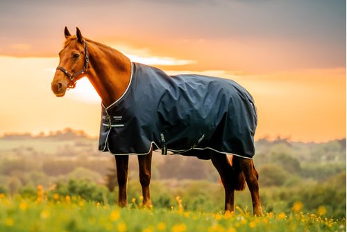 Amigo Ripstop 900D Turnout 100g - Witney Navy