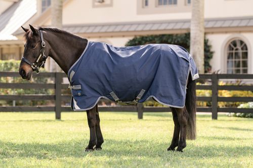 Rhino Pony Turnout 250g VL - Navy/Titanium Grey/Classic Blue