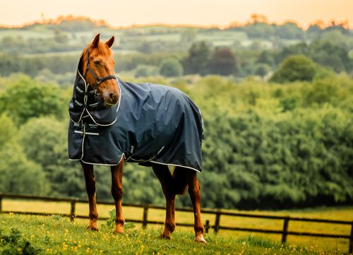 Amigo Ripstop 900D Plus Pony Turnout 200g - Witney Navy