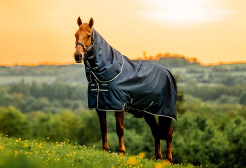 Amigo Ripstop 900D Plus Pony Turnout 0g - Witney Navy