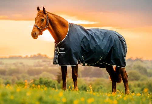 Amigo Ripstop 900D Pony Turnout 50g - Witney Navy